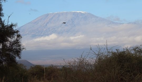 Mt. kilimanjaro from Amboseli park