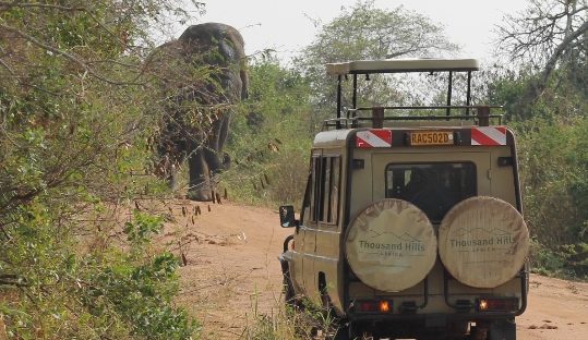 akagera park game drive