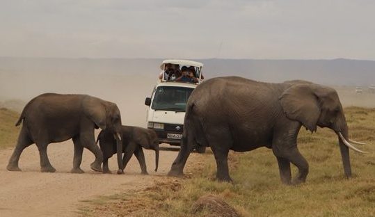 game drive amboseli