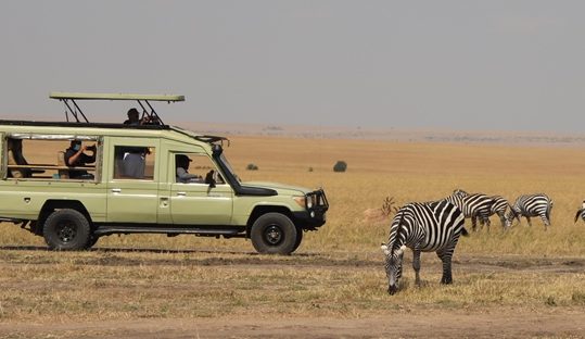 game drive masai mara