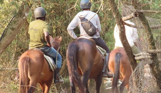 horse ride lake mburo park