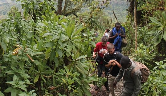 mt bisoke trek